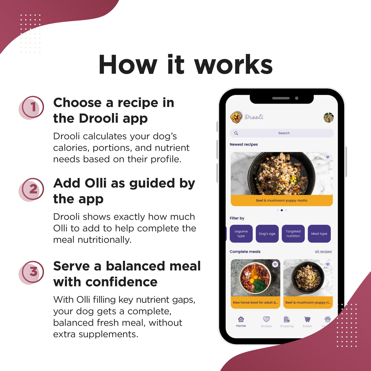 OLLI – All-in-One Homemade Diet Supplement for Dogs