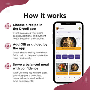 OLLI – All-in-One Homemade Diet Supplement for Dogs