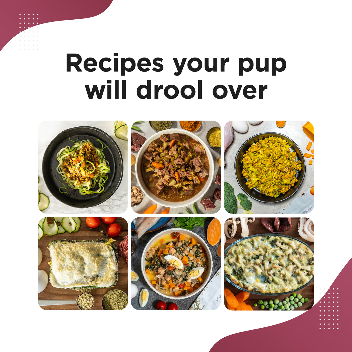 OLLI – All-in-One Homemade Diet Supplement for Dogs