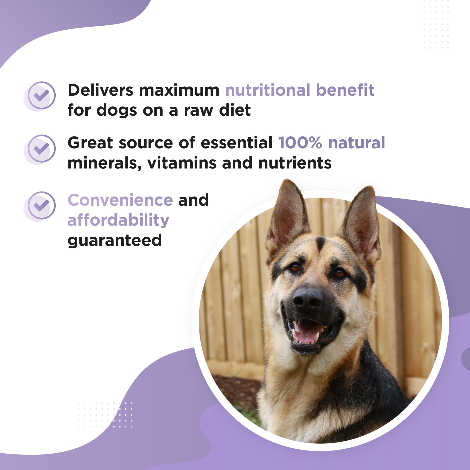 RAWSTER – Complete Raw Feeding Dog Supplement