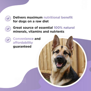 RAWSTER – Complete Raw Feeding Dog Supplement