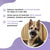 RAWSTER – Complete Raw Feeding Dog Supplement