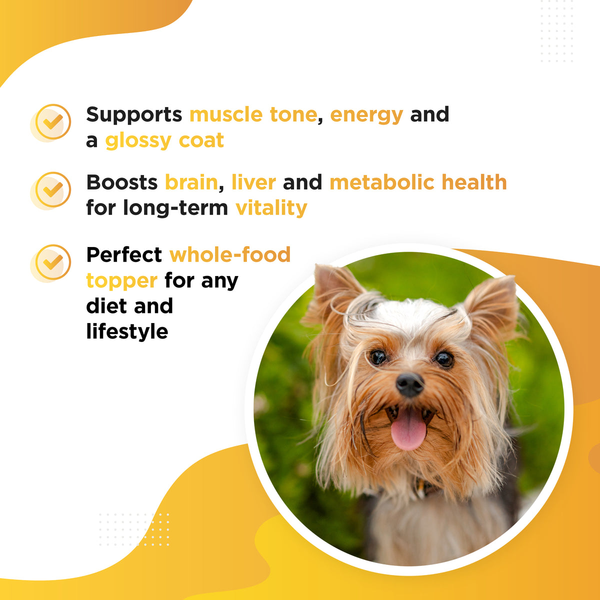 YOLKIE – Free-Range Egg Yolk Topper for Dogs