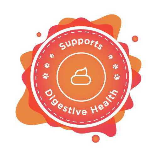 brothy supports digestive health