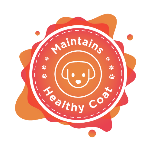 brothy maintains healthy coat