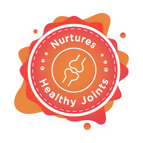 brothy nurtures healthy joints