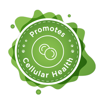 promotes cellular health