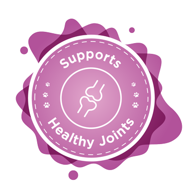 kalmi supports healthy joints