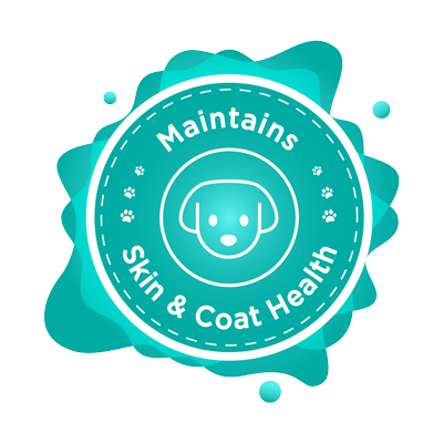 omega maintains skin coat health