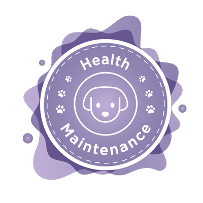 rawster health maintenance