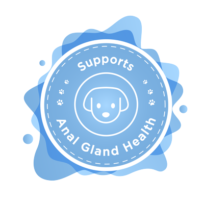 scooter supports anal gland health