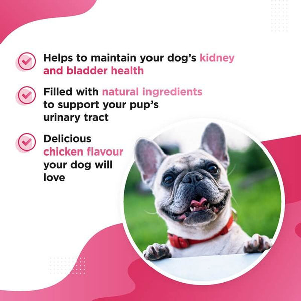 Dog urinary 2025 health supplements