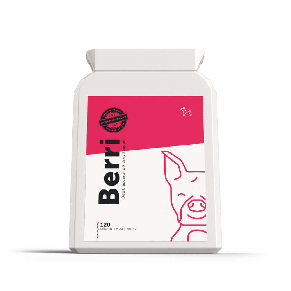 UTI Supplement for Dogs | Dog's Lounge 