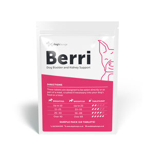 BERRI – Bladder & Kidney Cranberry Supplement for Dogs