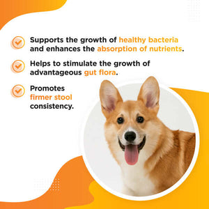 Benefits of Dog's Lounge Goodie Digestive functional treats for dogs