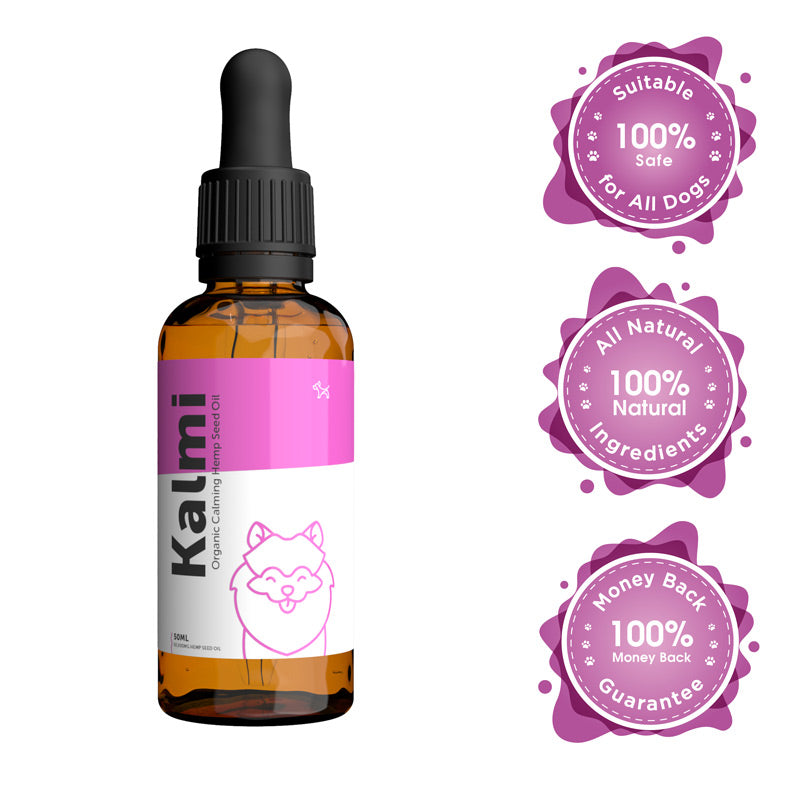 Liquid supplement for outlet dogs