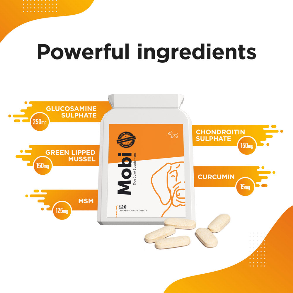 dog supplements for joints