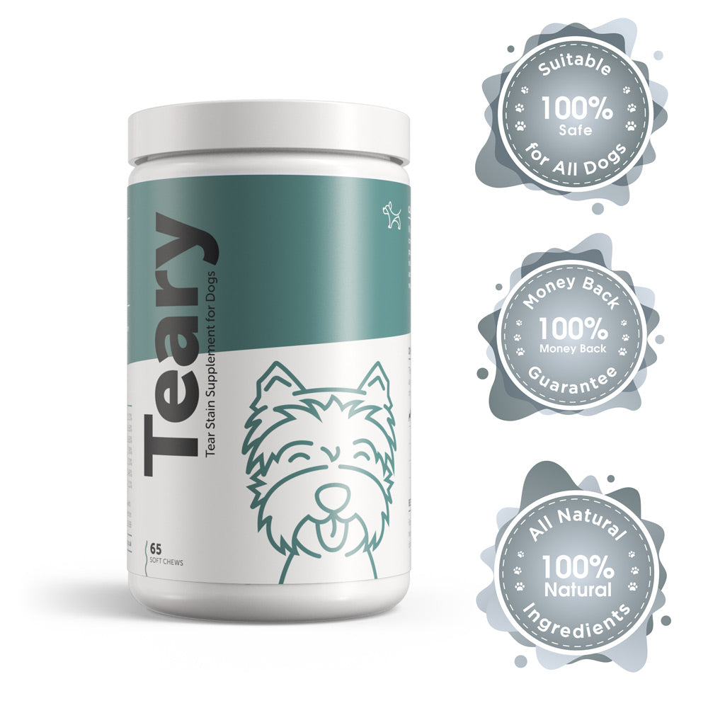Dog's Lounge TEARY Natural Tear Stain Supplement for Dogs and Puppies to reduce eye irritation and bacterial buildup