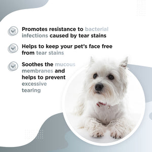 Dog's Lounge TEARY Natural Tear Stain Supplement for Dogs and Puppies to reduce eye irritation and bacterial buildup