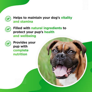 Dog's Lounge VITIA – Multivitamin Complex for Dogs and Puppies to support healthy bones, shiny coat and immune health
