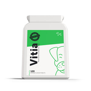 Dog's Lounge VITIA – Multivitamin Complex for Dogs and Puppies to support healthy bones, shiny coat and immune health